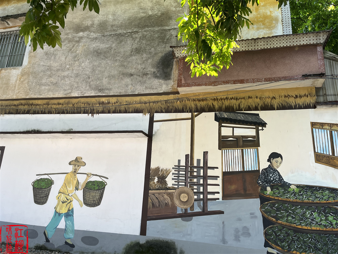 古村探寻｜广东佛山顺德一日打卡杏坛镇两个岭南水乡