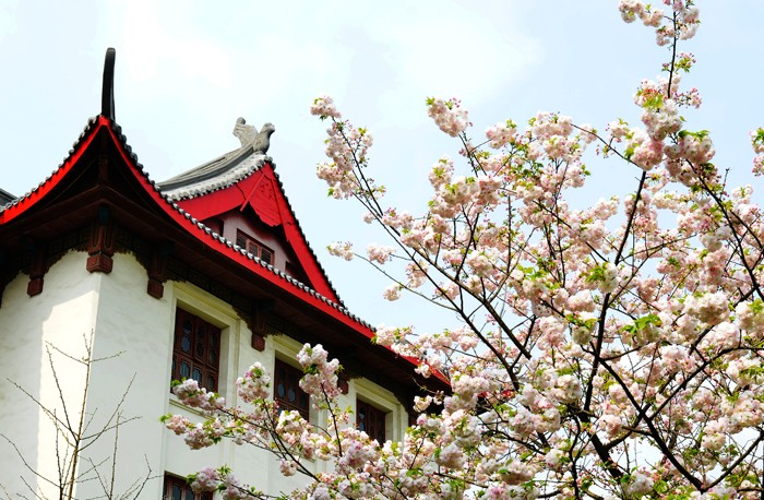 逢盛世，求卓越，怀青云志赴“一流”！四川大学，邀你共赴未来！