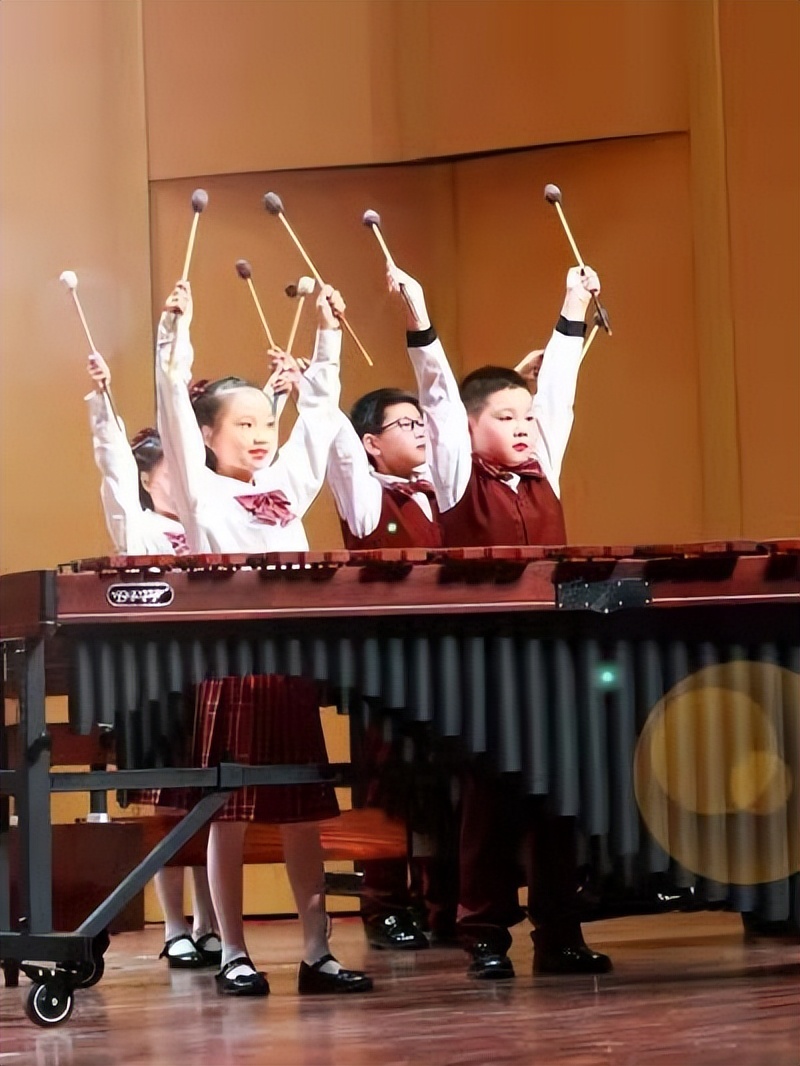 南京建邺区金陵中学实验小学,南京市建邺区金陵中学实验小学