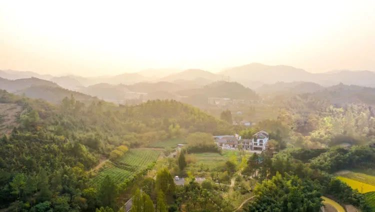藏于山林间的民宿,安吉十家最美民宿