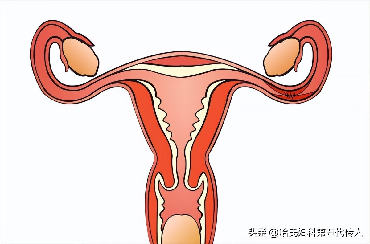 结婚三个月没怀孕怎么处理,结婚九年没有怀孕做过输卵管疏通