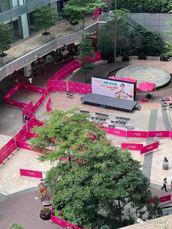 神奇的香港！从卖猪肉到万人迷，只需一个月