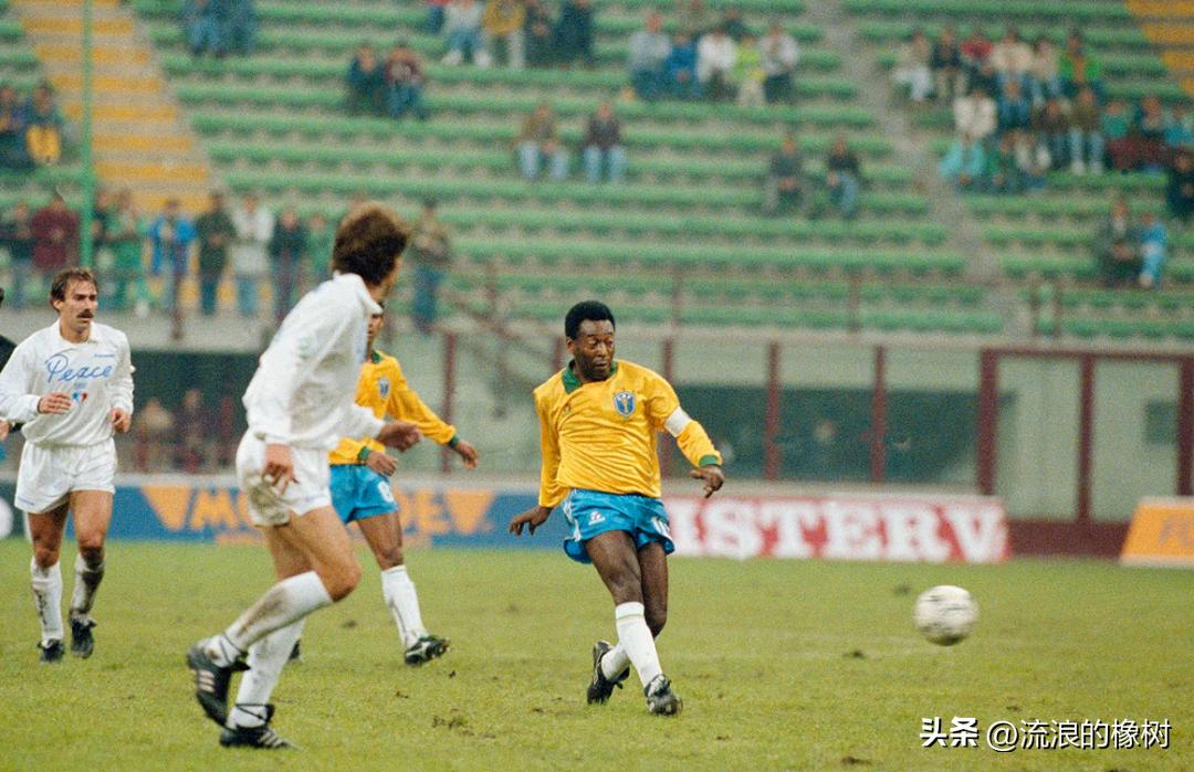 橡树|贝利，我们的足球的“暗号”