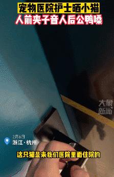 公猫出去一天一夜了都没回家,公猫出去三天没回来了