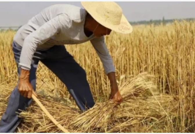 一个普通人怎么做到月入4万,打工者如何在一年内赚5万