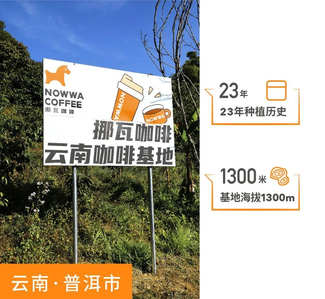 日销800杯店铺,日销1000杯咖啡店