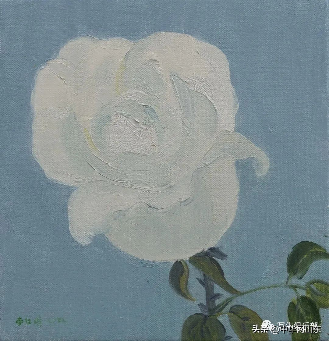 静物写生中靠前的静物黑白对比,静物写生优秀作品