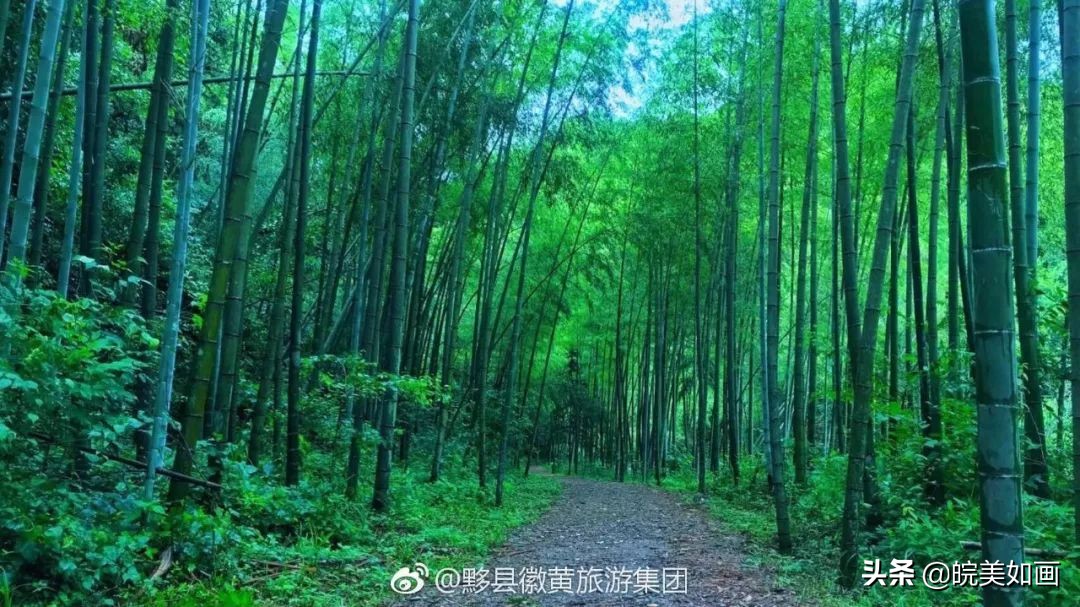 夏天避暑宝藏胜地,安徽夏天避暑最佳旅游地