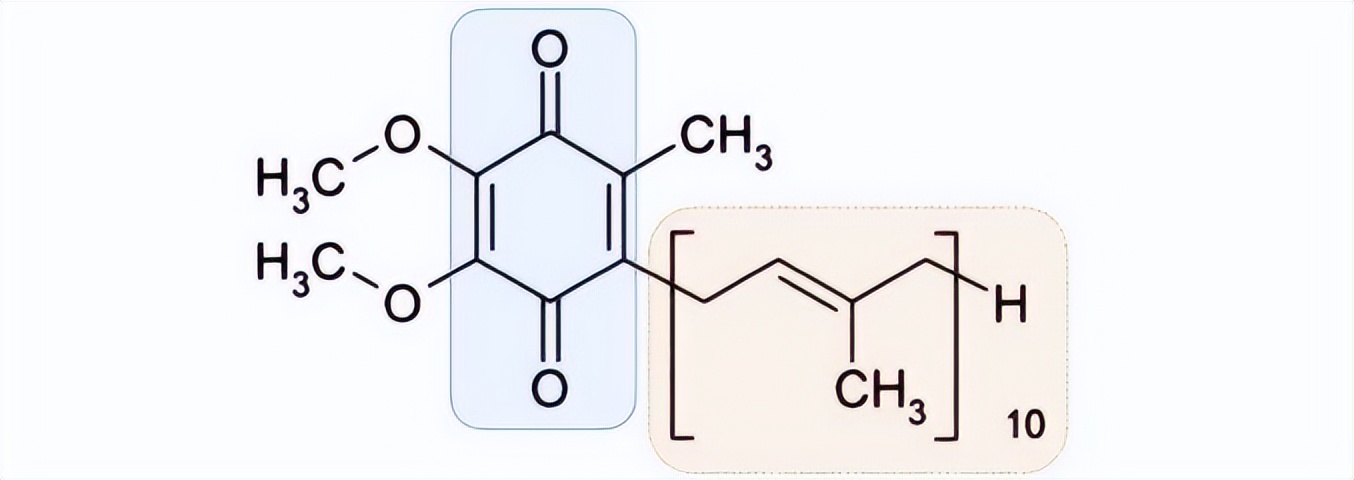 辅酶Q10最新产品,辅酶Q10保健品功效