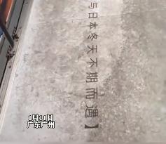 日本仍有大批游客不顾警告赏樱花,日本游客来中国赏樱花