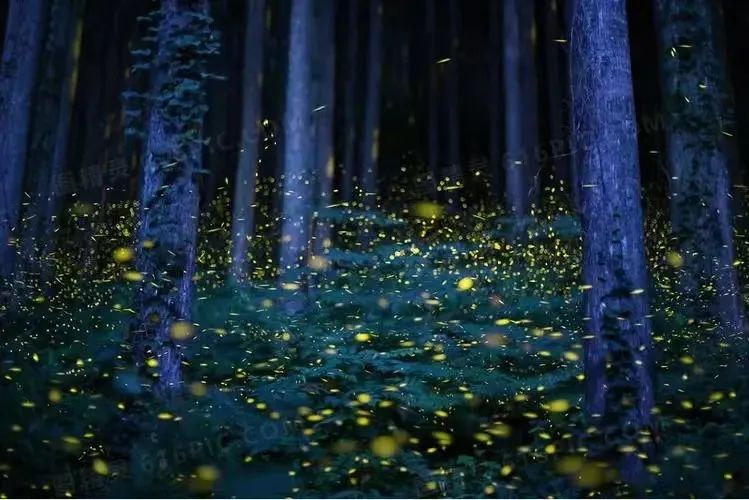 亚东以前的视频,亚东早期的视频