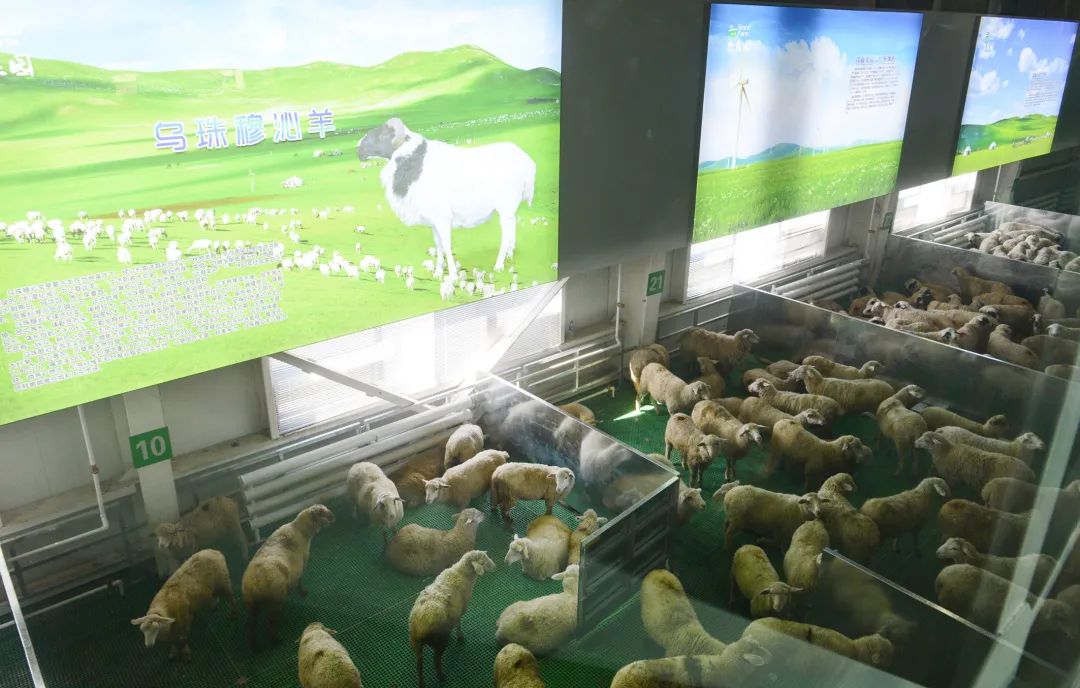 非凡成就伟大变革,非凡成就这十年