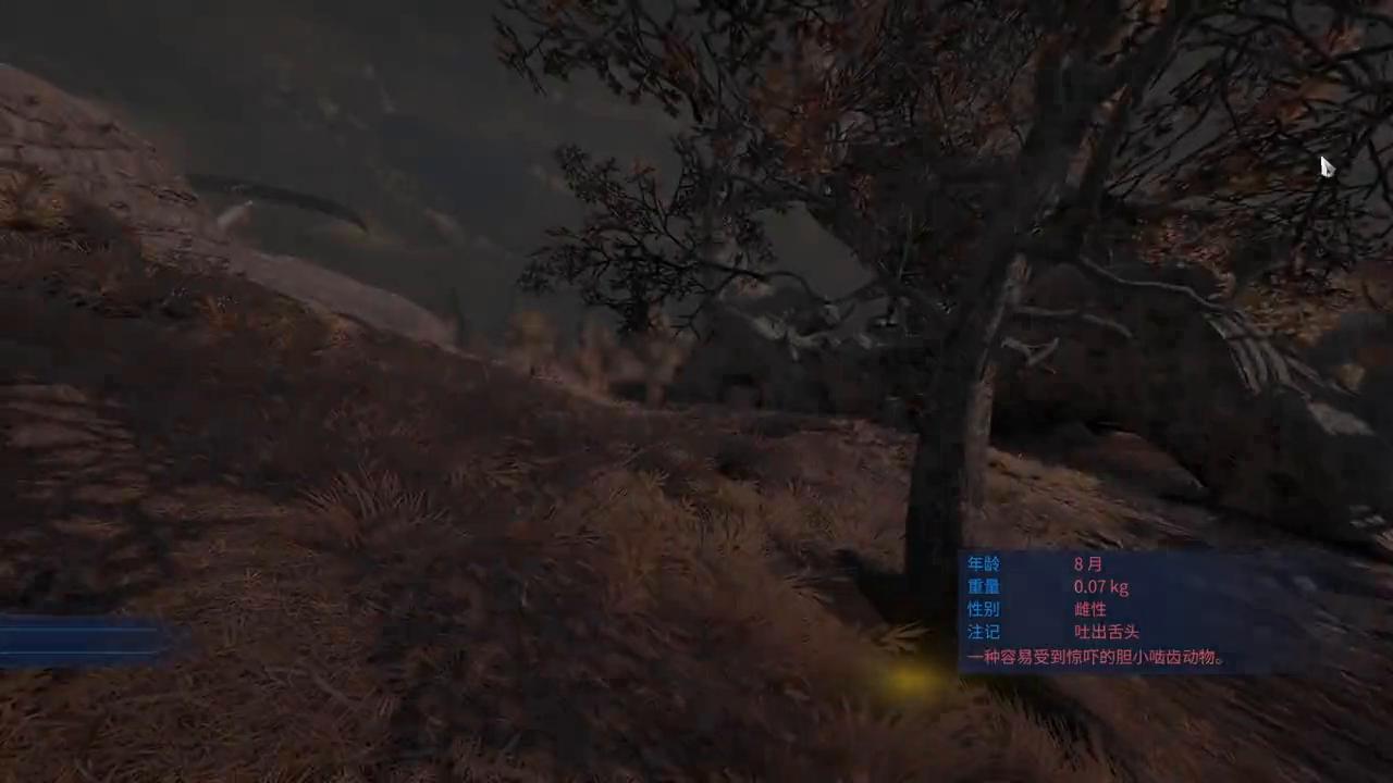 星际战甲萌新如何速刷内融核心,星际战甲萌新怎么选集团声望