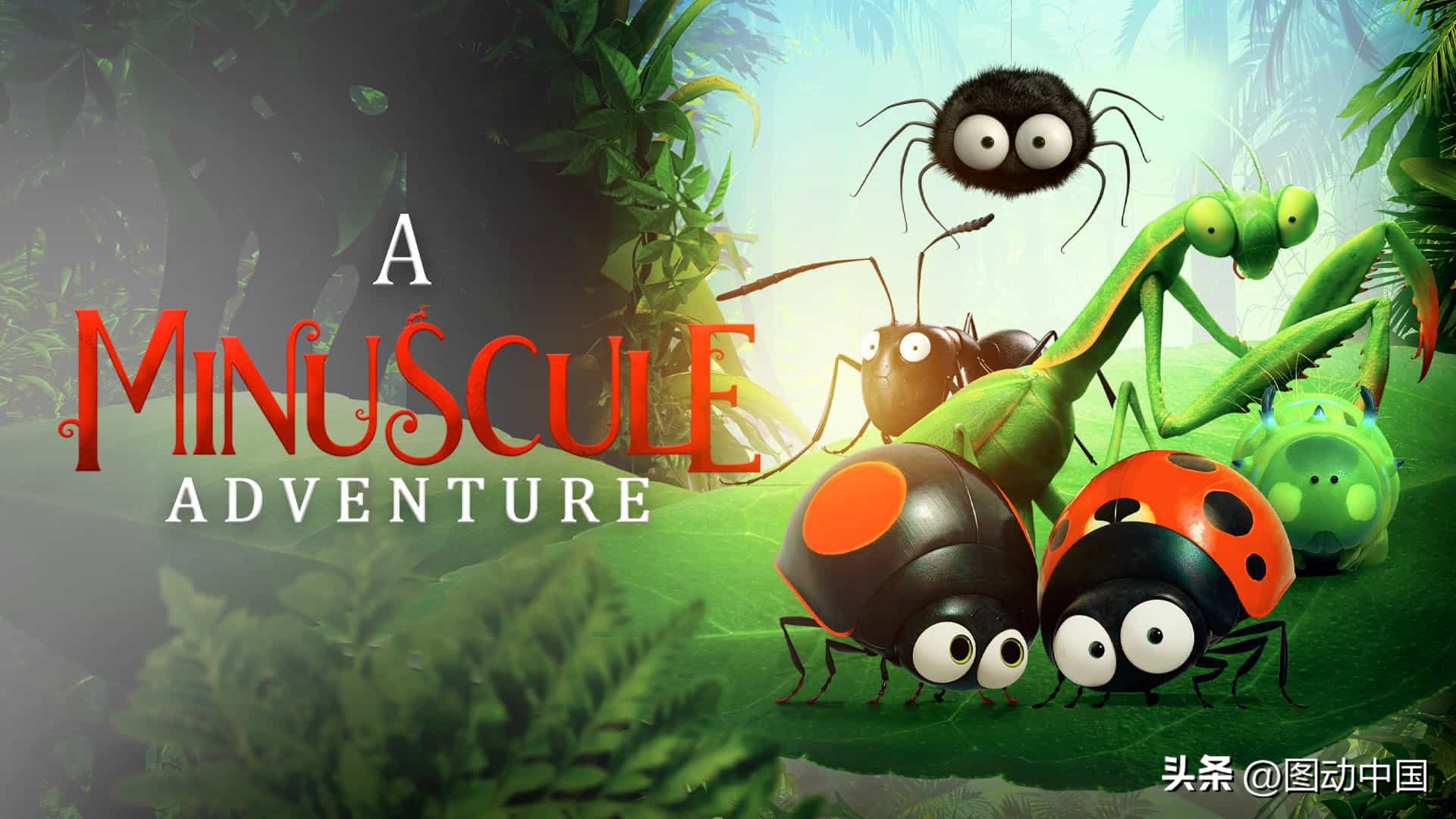 词根词缀全部掌握词汇量,词缀速记3500单词书