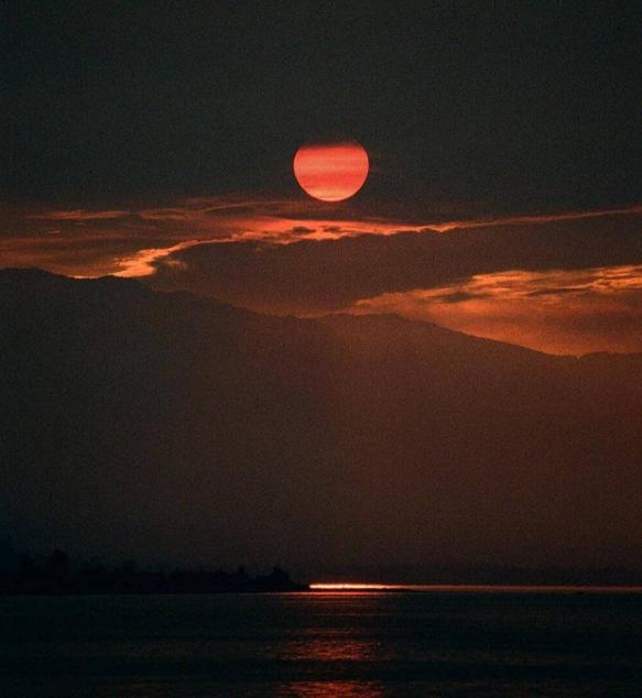 十五夜望月描写节日的诗句,关于月亮正月十五思乡的古诗