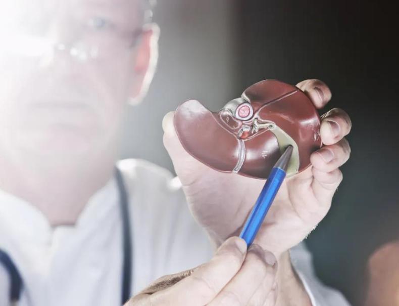 人类动物能混血吗,人类真的能杂交吗