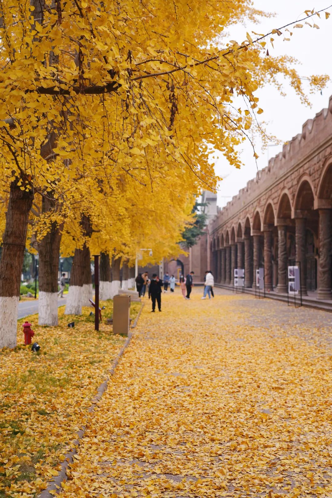 德阳最值得去的九大人文旅游景点,四川德阳旅游攻略必去景点