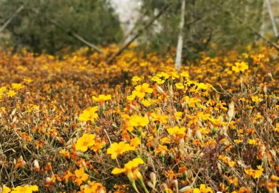 石景山区回迁安置房多少钱,石景山白庙村安置房