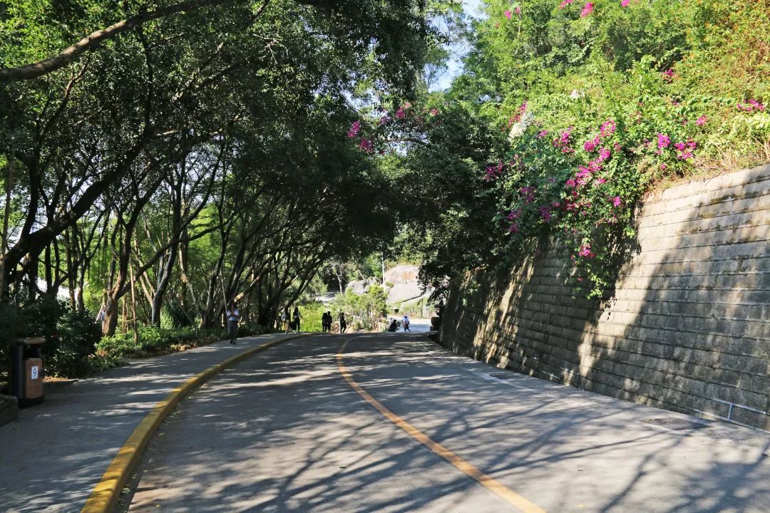 厦门旅游亲子酒店,厦门岛内亲子好去处