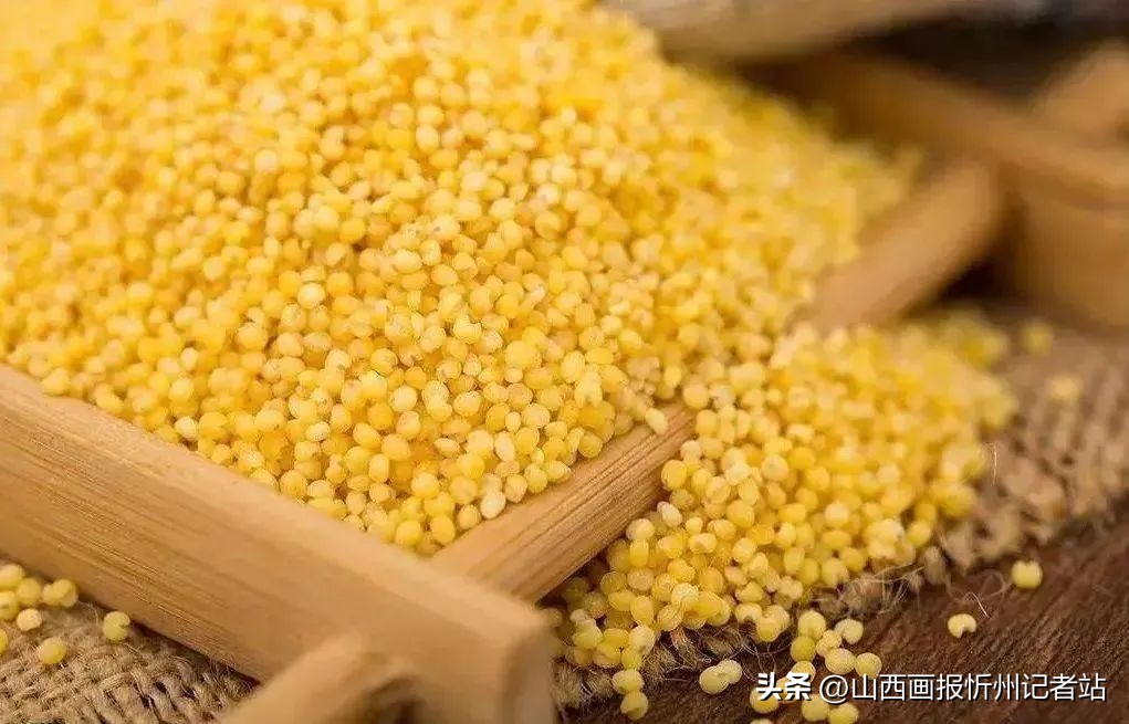 汾州名酒,汾州酒历史