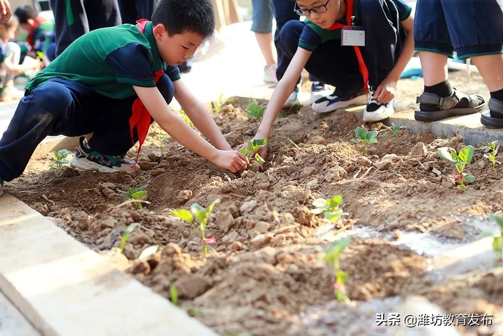 新闻周播报视频,新闻周播报