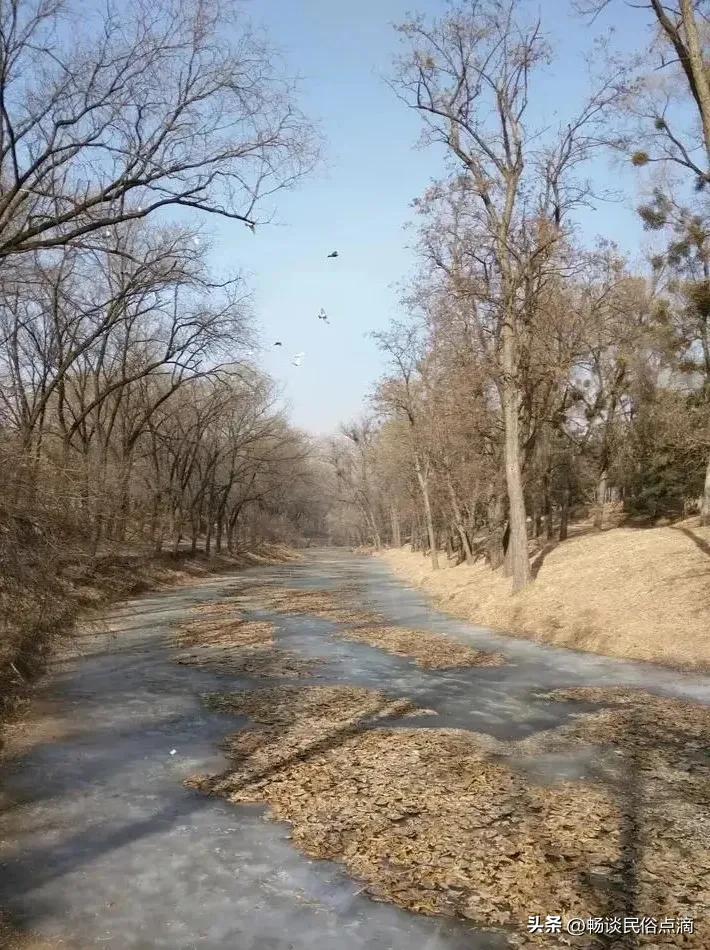 关于三九不冷的农谚,今年春节冷吗会下大雪吗