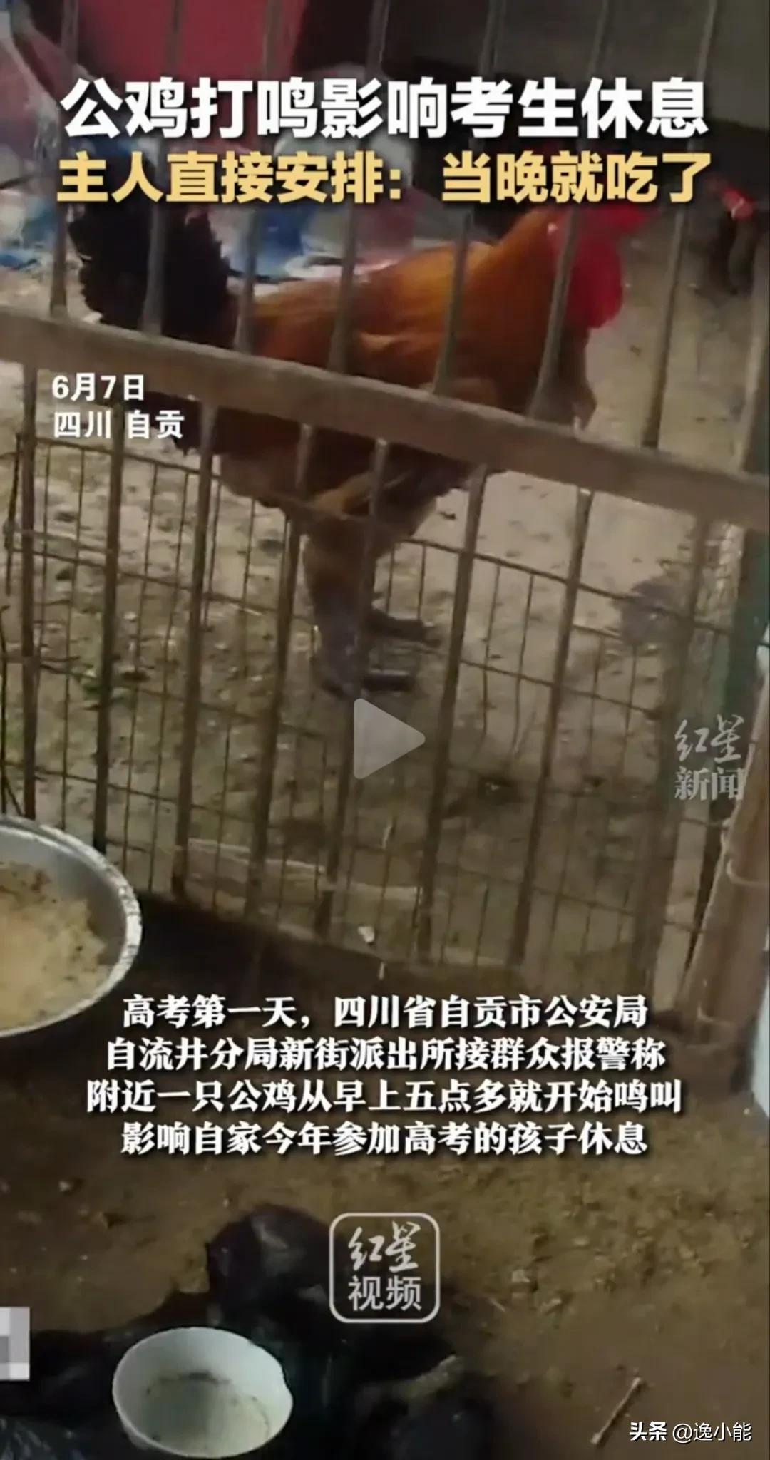 高考出现问题给谁打电话投诉,高考期间太吵举报电话