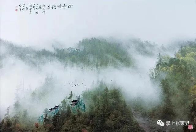 仙境张家界惊艳全世界,张家界的峰林峡谷仙境