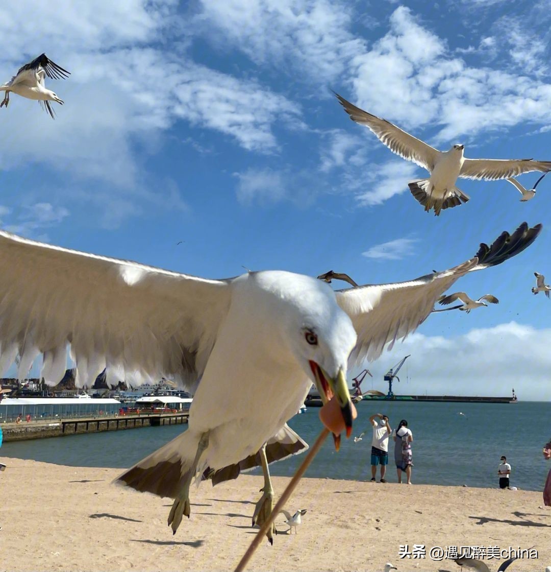 适合避暑养老的地方,全国最适合避暑的十大城市