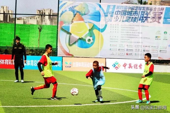 河北张家口青少年足球锦标赛,张家口足球联赛小学组名单