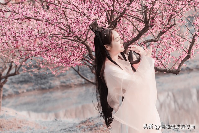 散文你是我一生最美的梦,抒情散文你是我生命中最美相遇