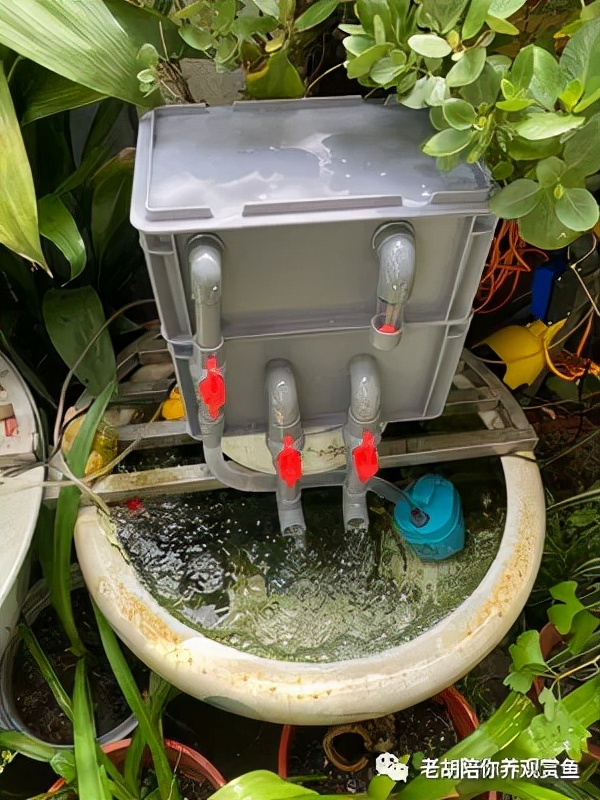 周转箱过滤好不好用,周转箱做过滤教程