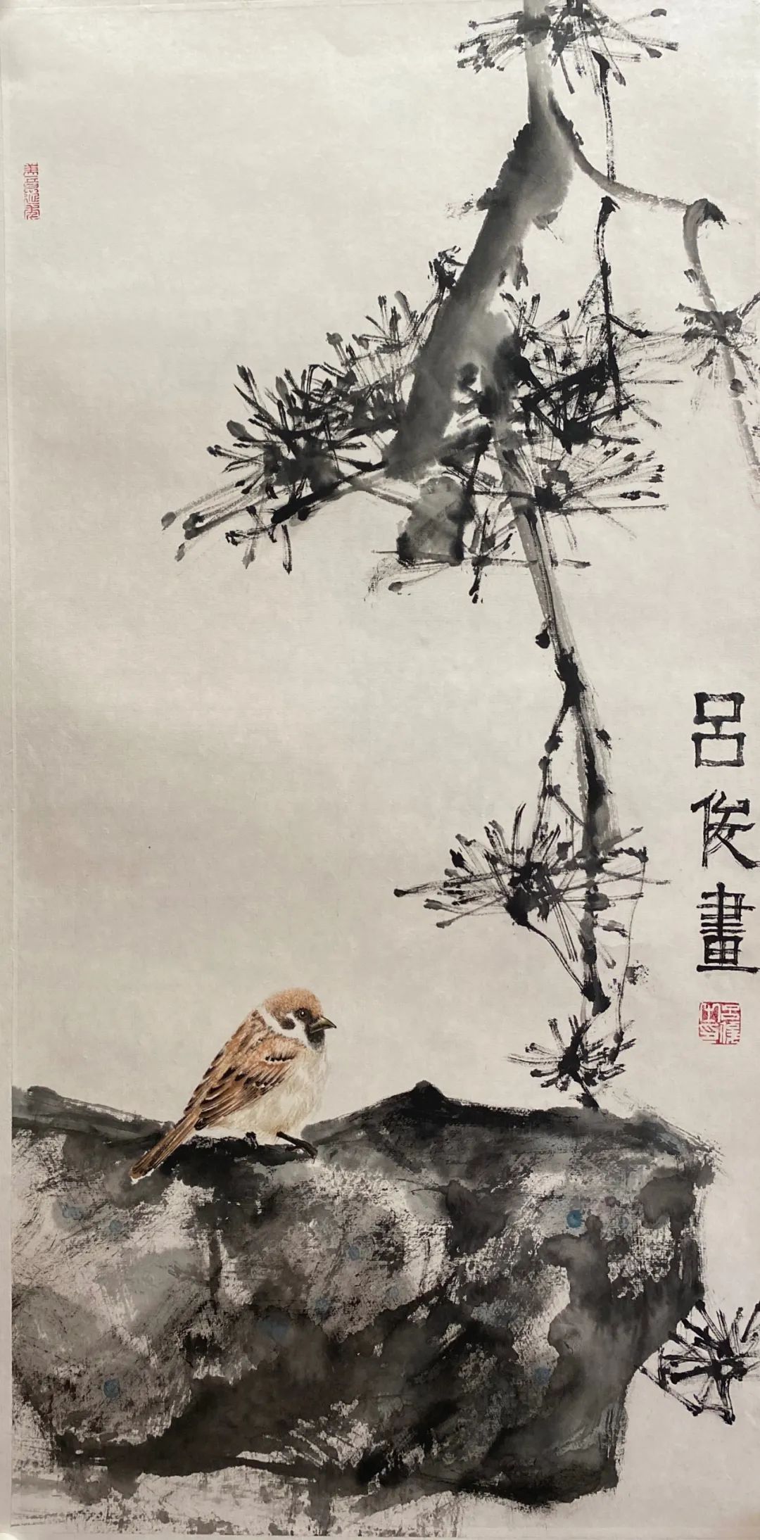 吕俊书法,吕俊散文作品