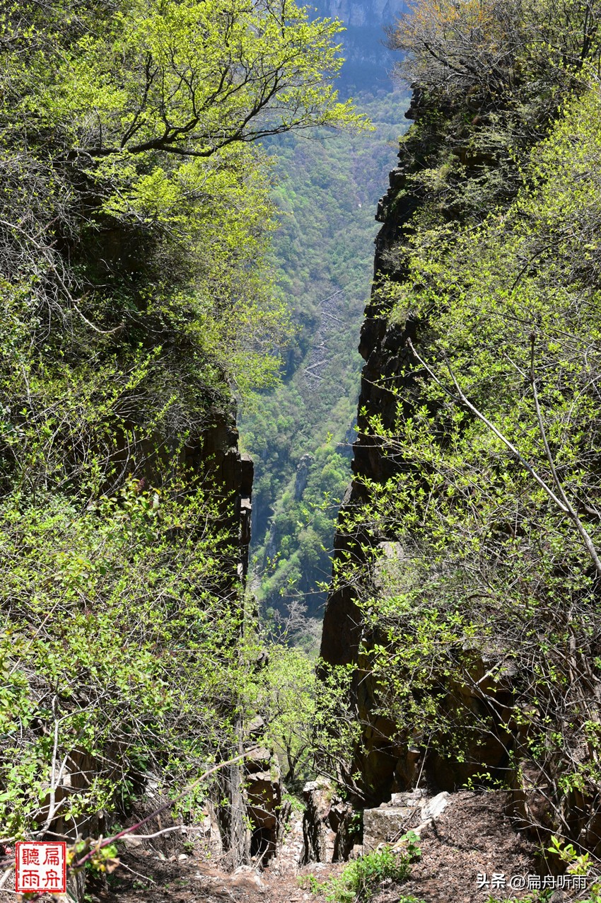 太行王莽岭简介,太行山王莽岭