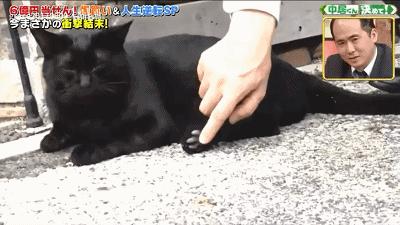 小伙买彩票中一千万却家破人亡了,夫妻买彩票中160万钱还没花完