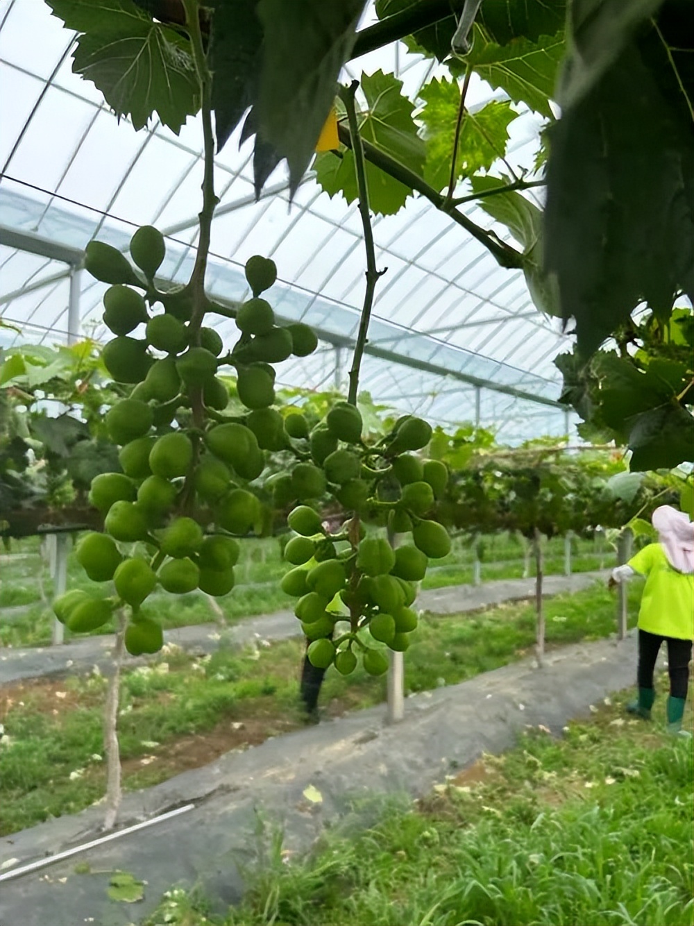 助推科技成果转化,媒体助力项目推广