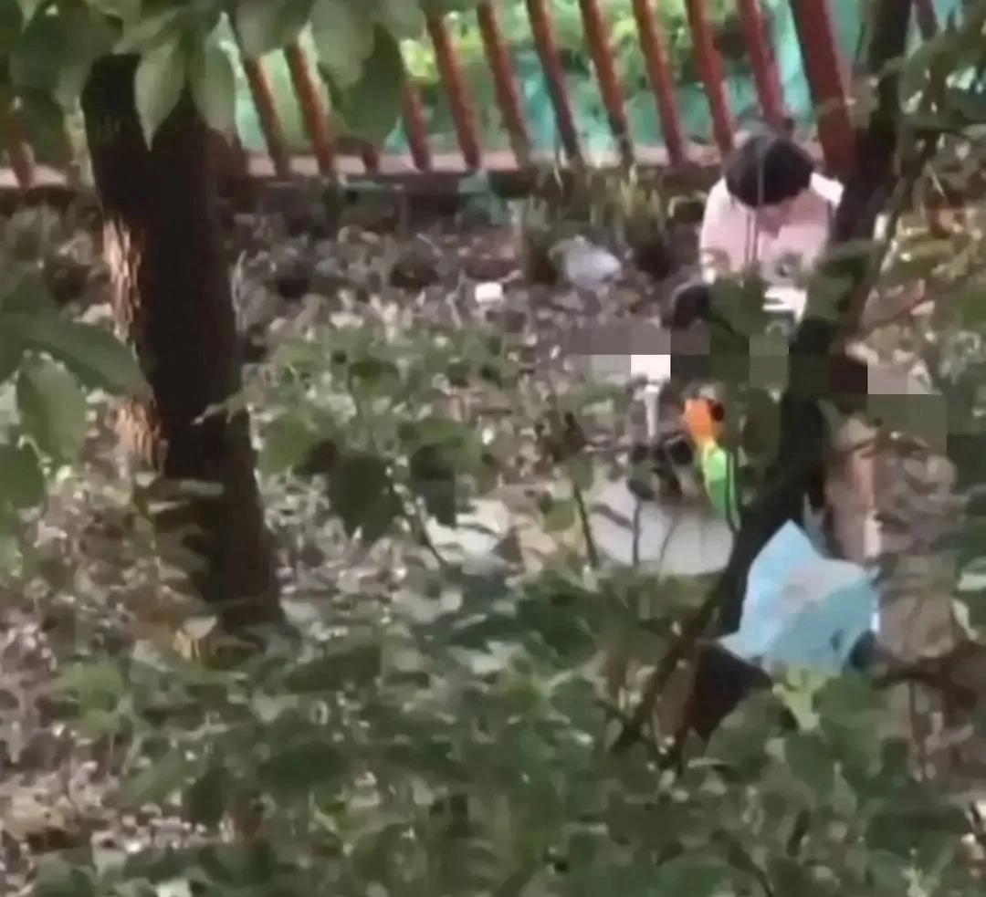 辽宁理工校园事件,辽宁理工学院事件最新消息