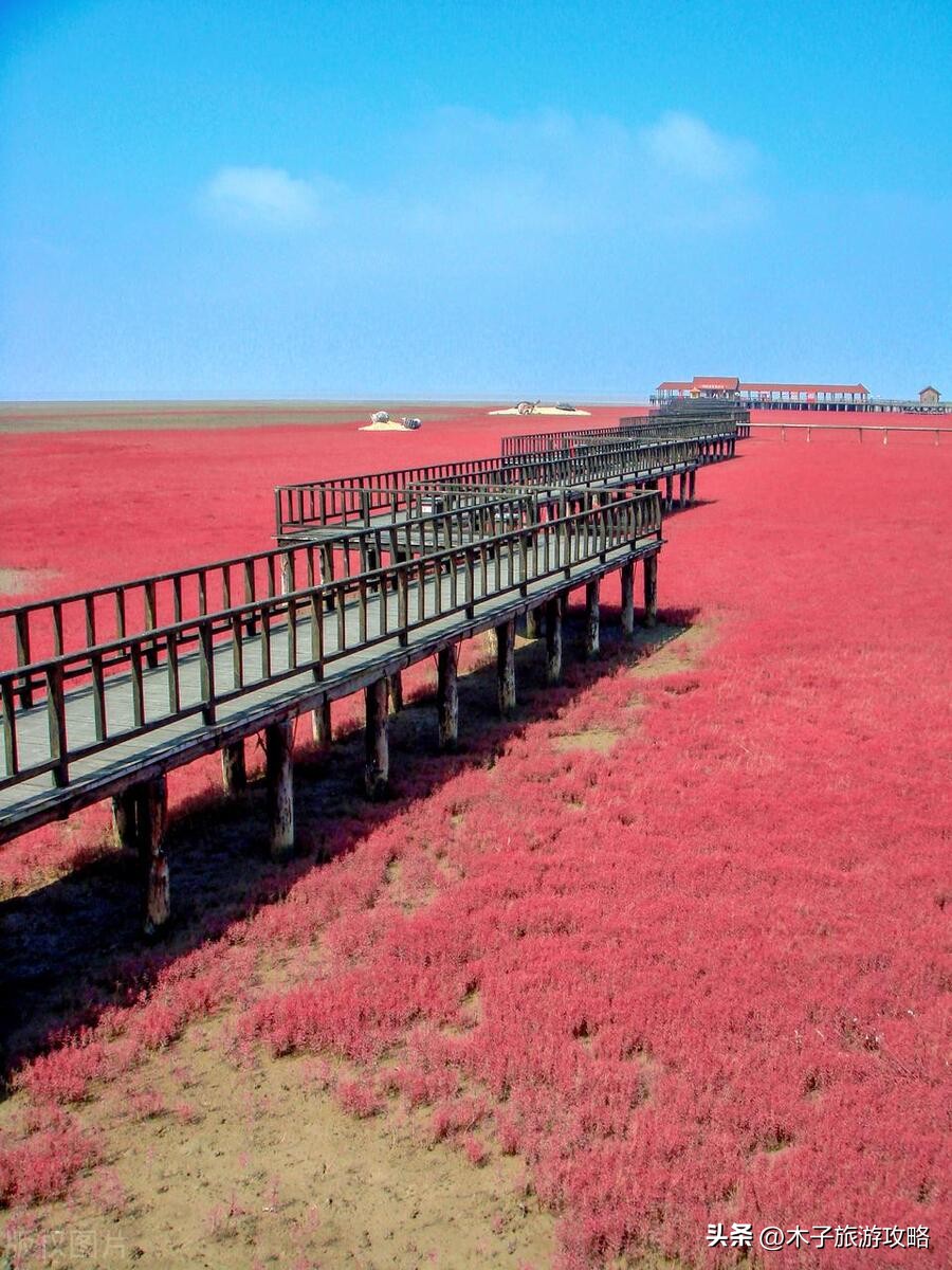 盘锦红海滩游玩攻略一日游,盘锦红海滩风景区游玩攻略