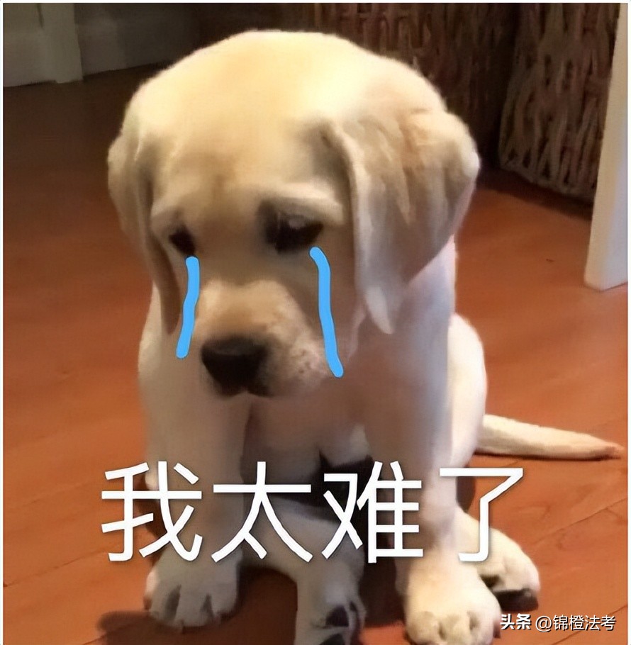 罗翔刑法课适合法考吗,法考刑法柏浪涛和罗翔哪个好