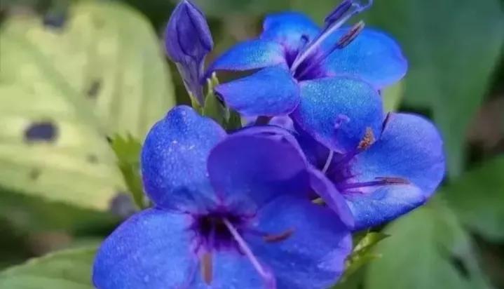 成功人士不轻易分享的自学秘诀,自学能力决定人生的高度和方法