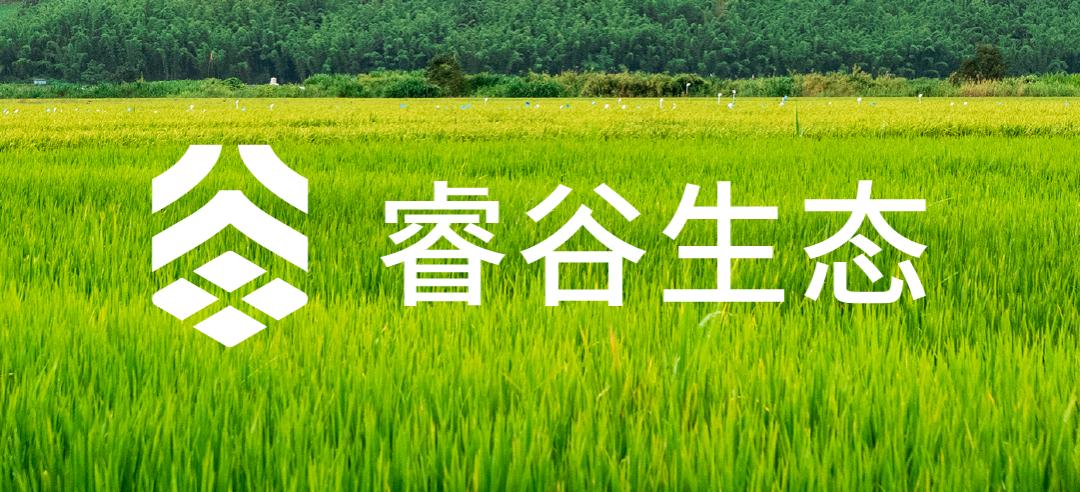 大道恒美×睿谷生态：大品牌战略，赋新生活方式营销