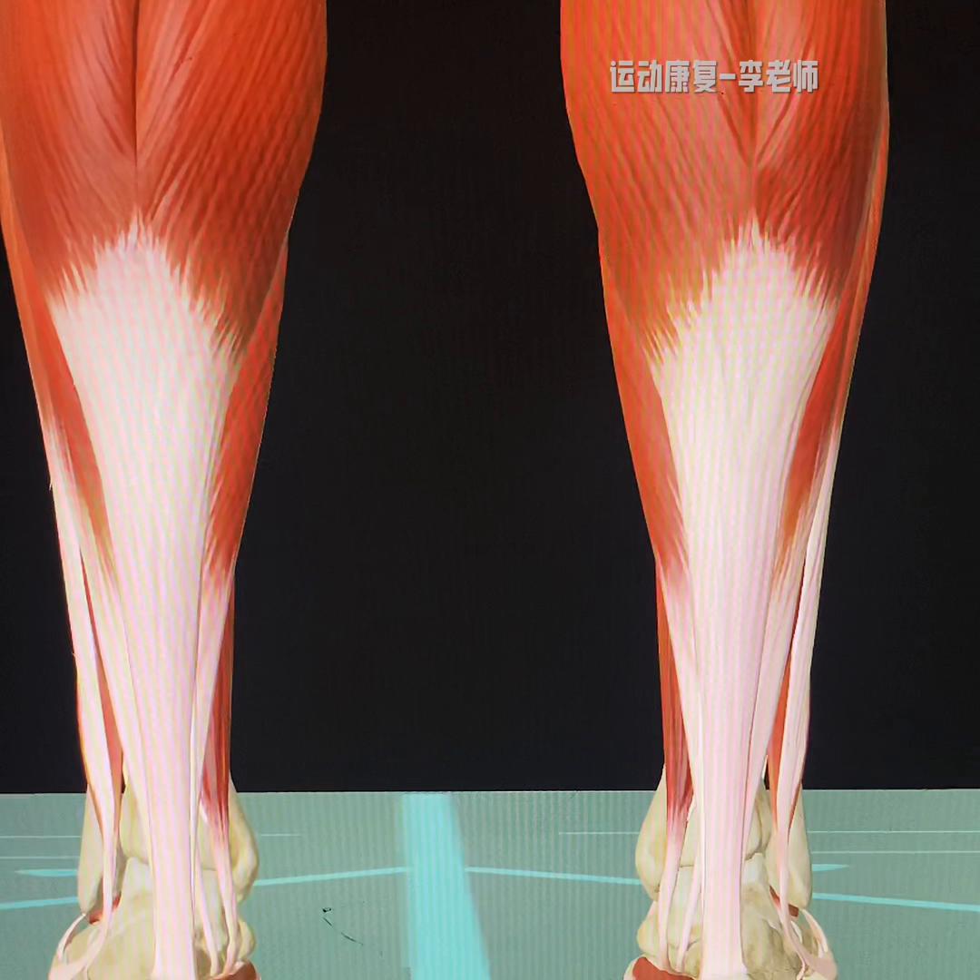 体态歪斜会导致脸变大吗,体态歪斜