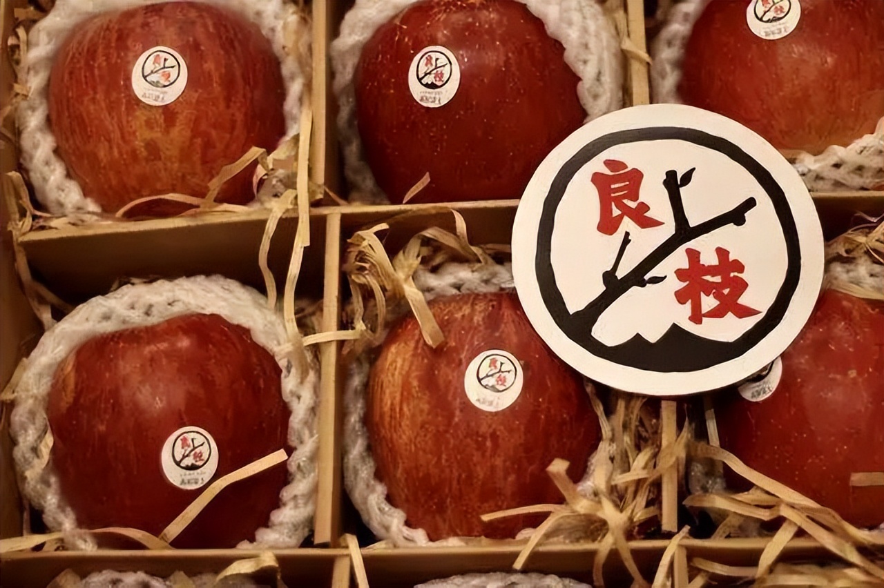 百果园投资十二万一年挣多少,开一家百果园年收入多少