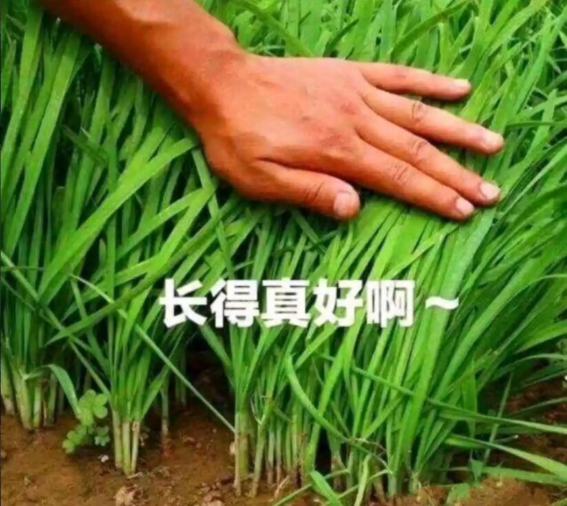 钉钉在线会议收费吗,钉钉会议模式收费么