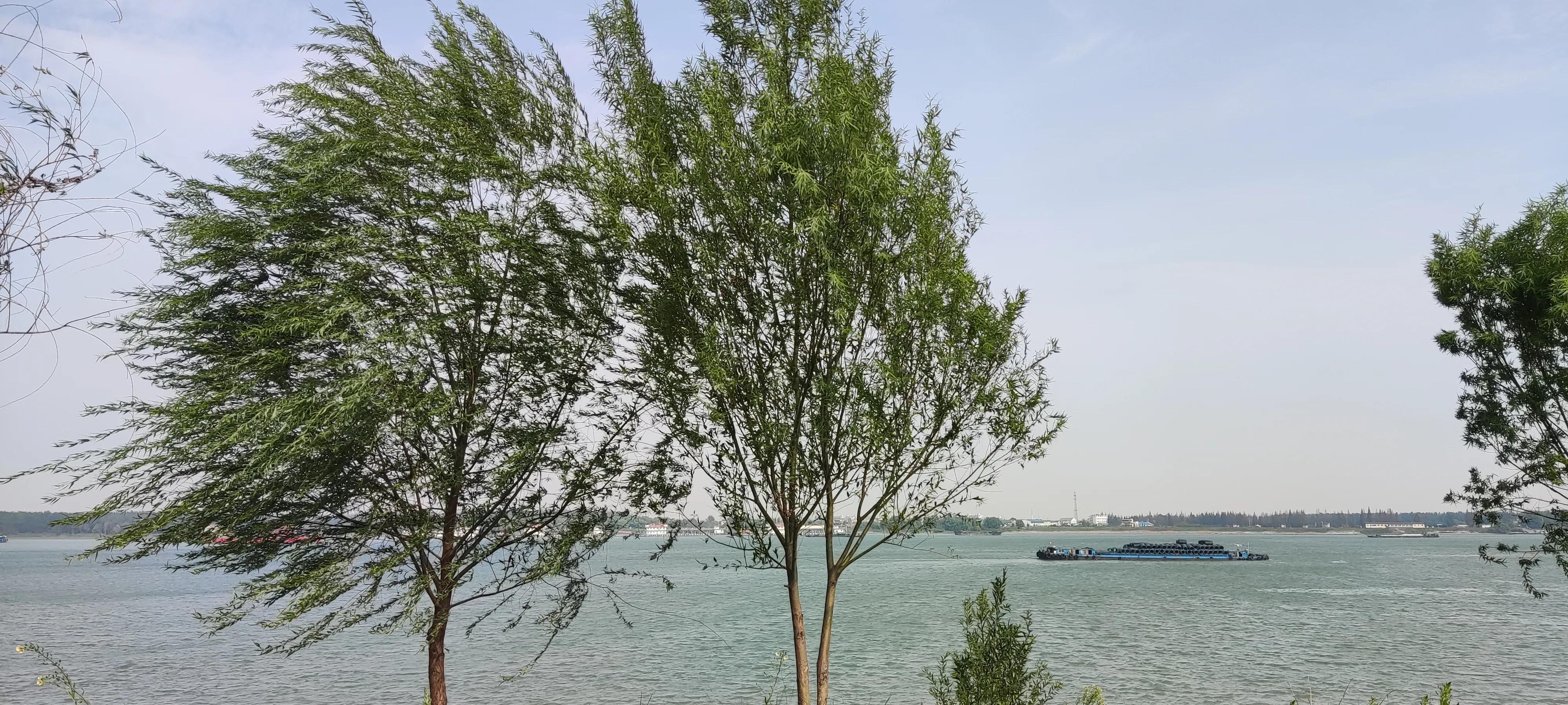 被封控都是因为什么原因,被封控一个月感言