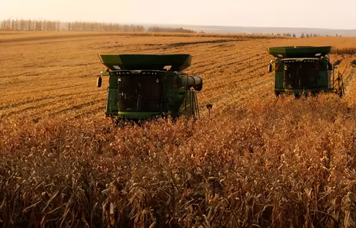 北大荒为什么退林还耕,北大荒当年咋样开垦的