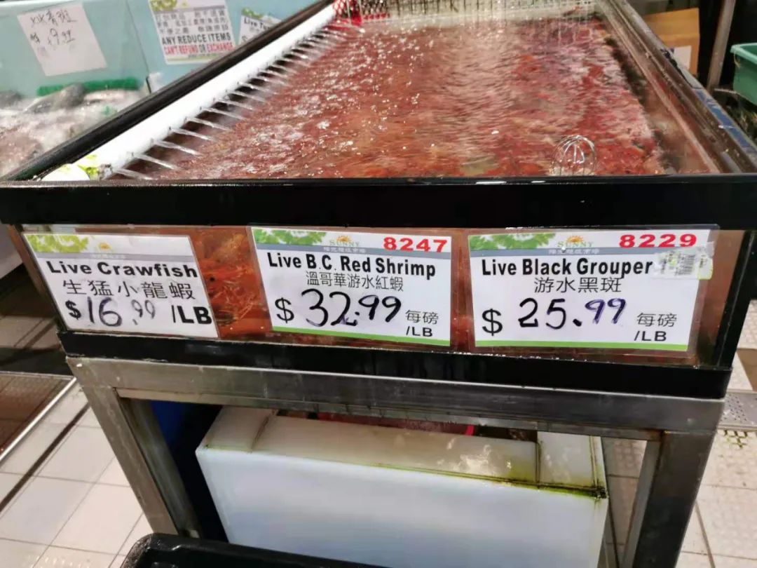 加拿大移民l多伦多的食品超市(更新篇)