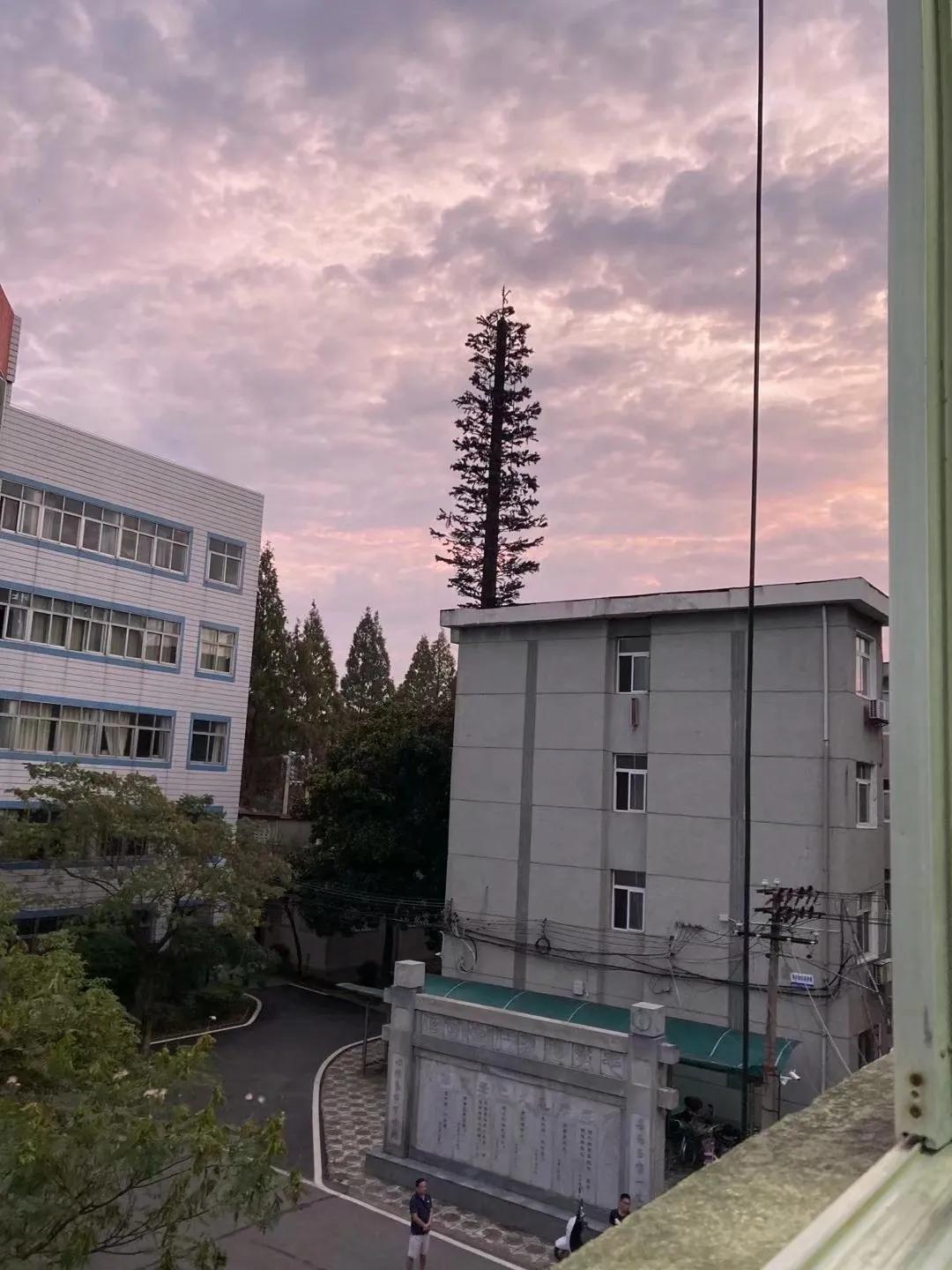 高中毕业是不是意味青春结束,高中毕业离别总是那么伤感