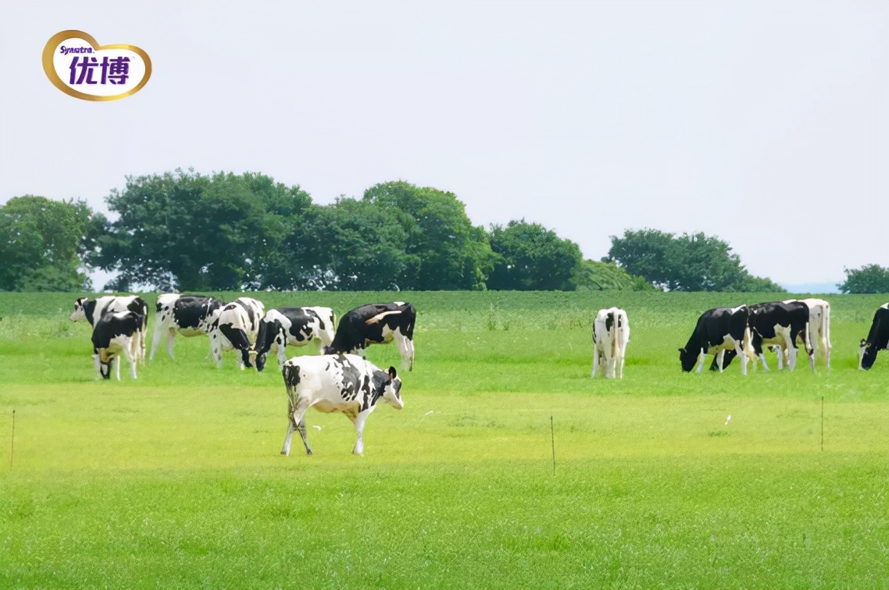一岁半宝宝第一次喝奶粉怎么选,给宝宝选什么牌子的奶粉比较好