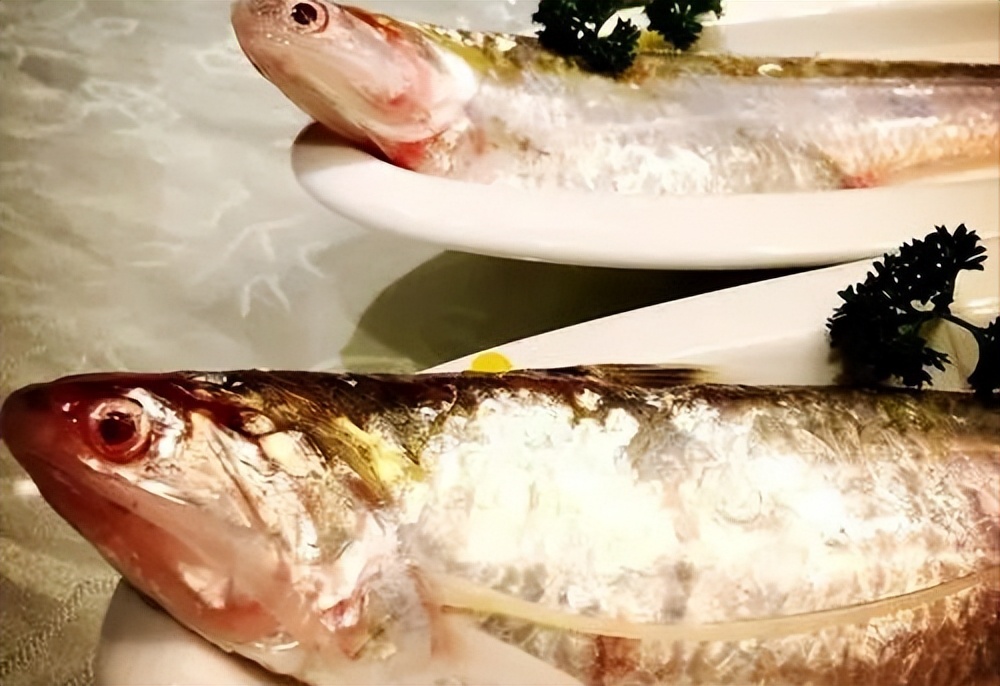 春季秋刀鱼,春鲜刀鱼